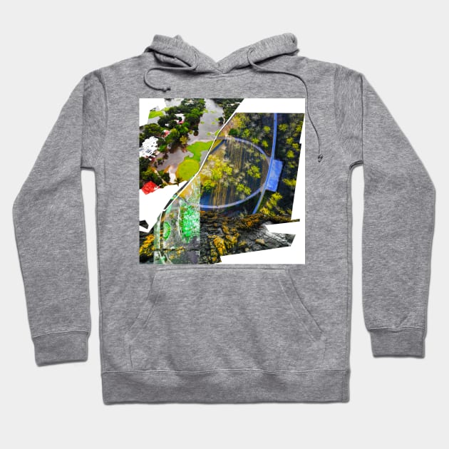 wetland city in risk management ecopop collage photograph art Hoodie by jorge_lebeau